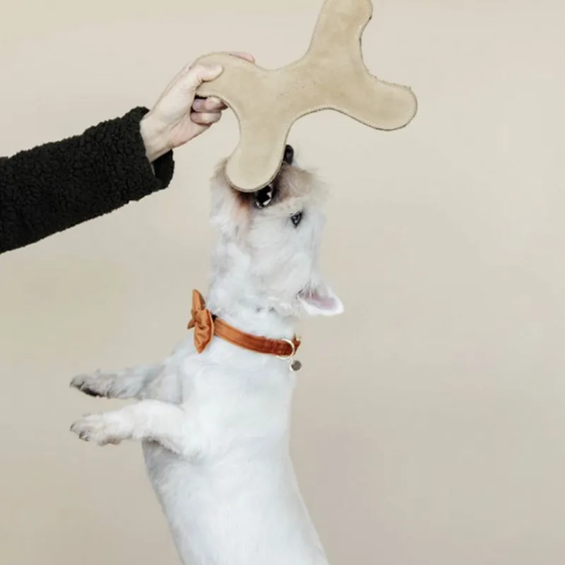 KENTUCKY DOGWEAR Jouet pour chien os pastel -< Jouets Chien