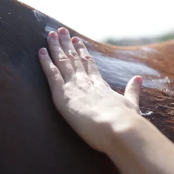 RAVENE Kinésyl baume apaisant et décontractant cheval 250 ml -< Baume Et Gel Chauffant Cheval
