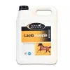 HORSE MASTER LactoMuscle cheval 5l -< Prise De Muscle Cheval|Soutien Locomoteur Cheval De Sport