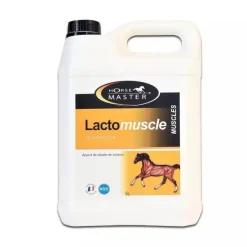 HORSE MASTER LactoMuscle cheval 5l -< Prise De Muscle Cheval|Soutien Locomoteur Cheval De Sport