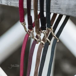 KENTUCKY DOGWEAR Laisse chien Corduroy 120cm - Kentucky< Colliers Et Laisses Pour Chien
