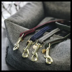 KENTUCKY DOGWEAR Laisse chien nylon tressé -< Colliers Et Laisses Pour Chien