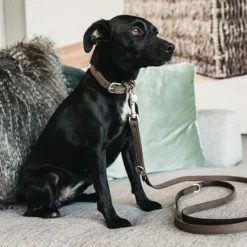 KENTUCKY DOGWEAR Laisse chien Velvet Leather -< Colliers Et Laisses Pour Chien