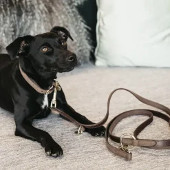 KENTUCKY DOGWEAR Laisse chien Velvet Leather -< Colliers Et Laisses Pour Chien