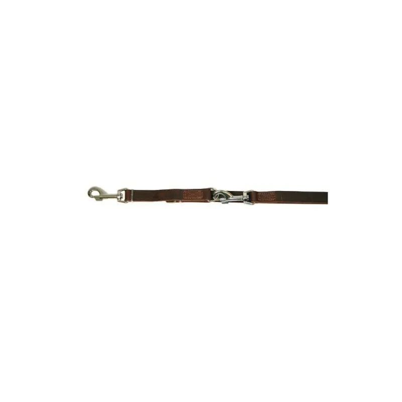 DEAR DOGGY Laisse de travail pour chien Vegas< Colliers Et Laisses Pour Chien