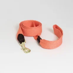 KENTUCKY DOGWEAR Laisse pour chien Jacquard -< Colliers Et Laisses Pour Chien
