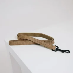KENTUCKY DOGWEAR Laisse pour chien Lézard - Kentucky< Colliers Et Laisses Pour Chien