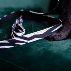 KENTUCKY DOGWEAR Laisse pour chien - Kentucky< Colliers Et Laisses Pour Chien
