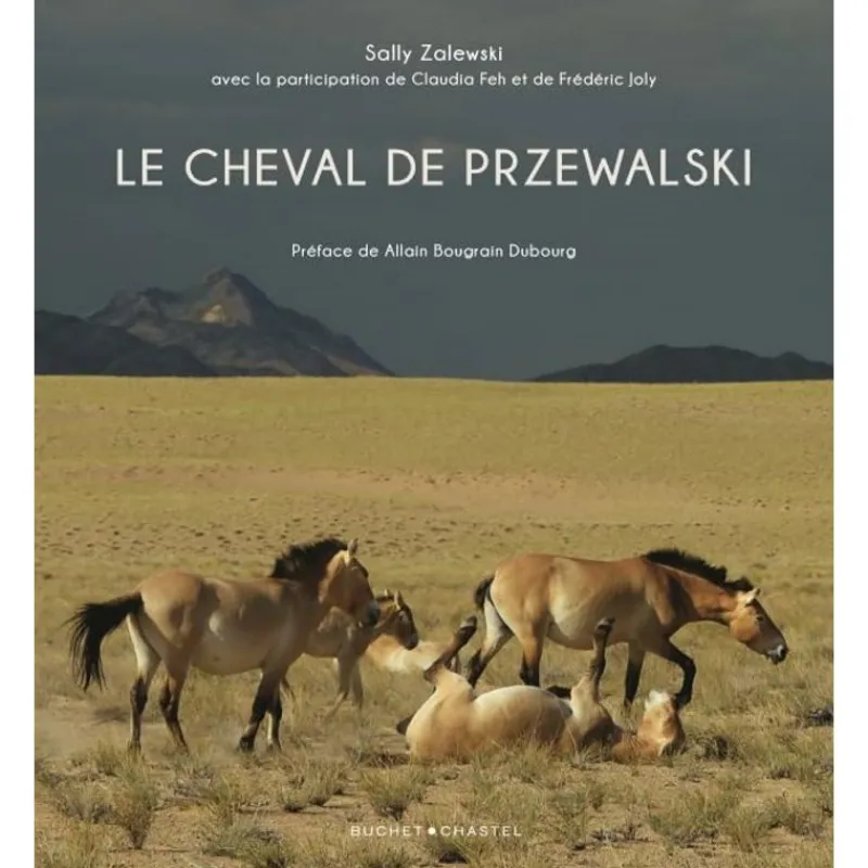 EQUIBOOKS Le cheval de Przewalski - Buchet Chastel< Librairie Equibooks