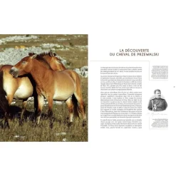 EQUIBOOKS Le cheval de Przewalski - Buchet Chastel< Librairie Equibooks