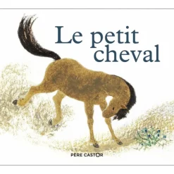 EQUIBOOKS Le Petit Cheval et le vieux chameau - Père Castor< Librairie Equibooks
