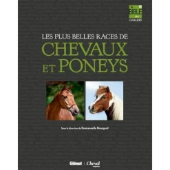 EQUIBOOKS Les plus belles races de chevaux et de poneys - Glénat< Librairie Equibooks