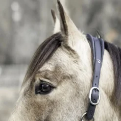 DYON Licol cheval 2 en 1 Transport et Grooming La Cense - Dy'on< Licols