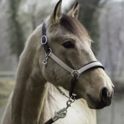 DYON Licol cheval 2 en 1 Transport et Grooming La Cense - Dy'on< Licols