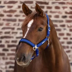 WALDHAUSEN Licol cheval Breath -< Licols