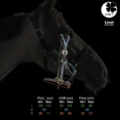 IHWT Licol cheval cuir Elegance Disco -< Licols