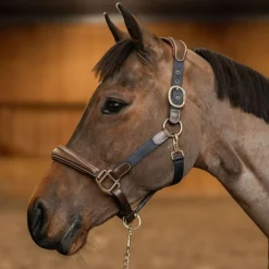 HFI MASTER Licol cheval cuir et nylon - HFI< Licols