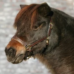 WALDHAUSEN Licol cheval cuir et strass Diamond -< Licols