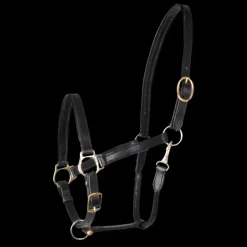WALDHAUSEN Licol cheval cuir Robust -< Licols