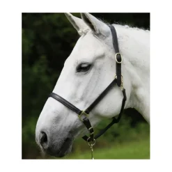 WALDHAUSEN Licol cheval cuir Robust -< Licols