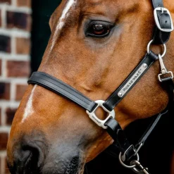 HORSEWARE Licol cheval cuir Signature -< Licols