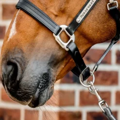 HORSEWARE Licol cheval cuir Signature -< Licols