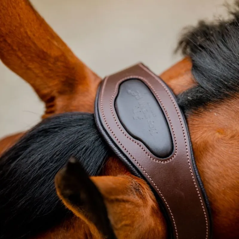 HORSEWARE Licol cheval cuir tresse Signature -< Licols
