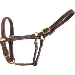 CAVALHORSE Licol cheval cuir type américain< Licols