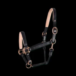 WALDHAUSEN Licol cheval cuir X-Line Rosé -< Licols