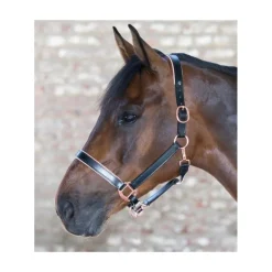 WALDHAUSEN Licol cheval cuir X-Line Rosé -< Licols