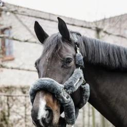 KENTUCKY HORSEWEAR Licol cheval doublé mouton synthétique - Kentucky< Protections De Transport|Licols