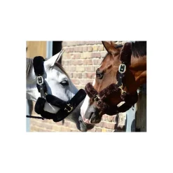 KENTUCKY HORSEWEAR Licol cheval doublé mouton synthétique - Kentucky< Protections De Transport|Licols