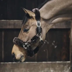 KENTUCKY HORSEWEAR Licol cheval doublé mouton synthétique - Kentucky< Protections De Transport|Licols