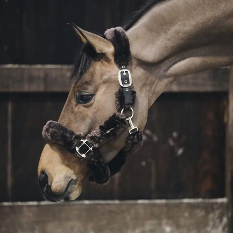 KENTUCKY HORSEWEAR Licol cheval doublé mouton synthétique - Kentucky< Protections De Transport|Licols