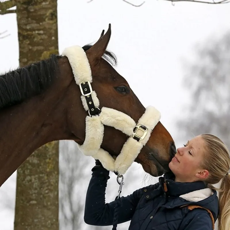 KENTUCKY HORSEWEAR Licol cheval doublé mouton synthétique - Kentucky< Protections De Transport|Licols