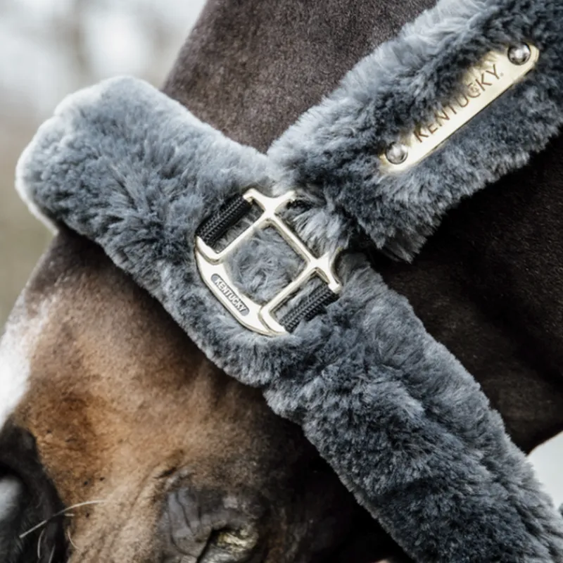KENTUCKY HORSEWEAR Licol cheval doublé mouton synthétique - Kentucky< Protections De Transport|Licols