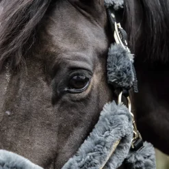 KENTUCKY HORSEWEAR Licol cheval doublé mouton synthétique - Kentucky< Protections De Transport|Licols