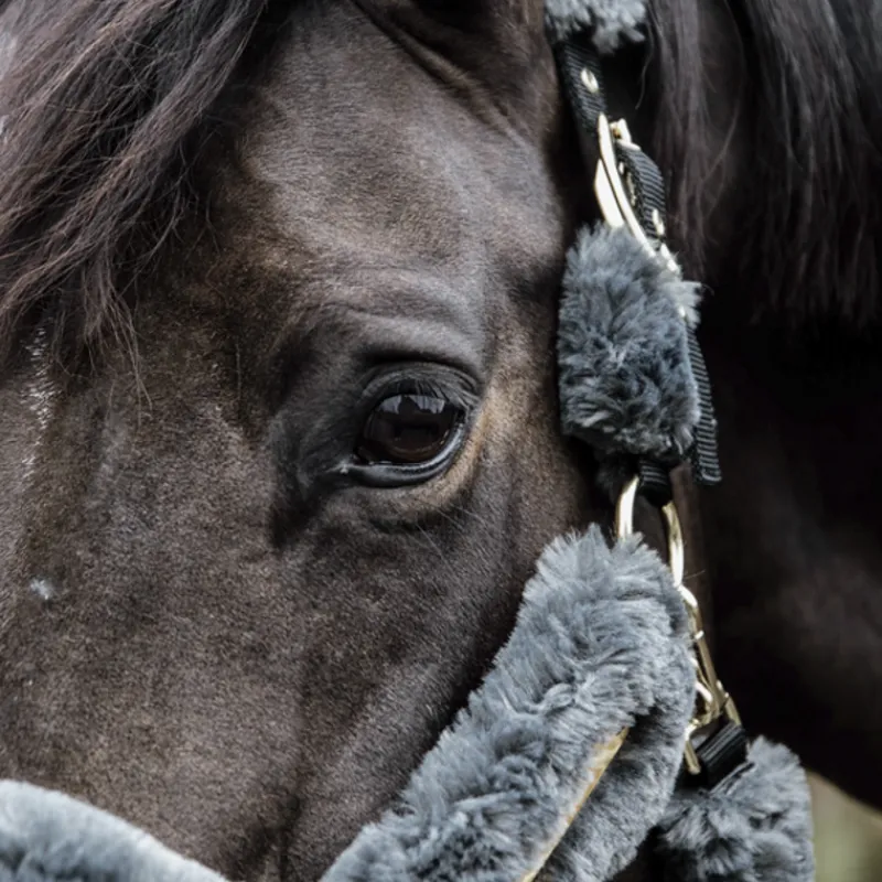 KENTUCKY HORSEWEAR Licol cheval doublé mouton synthétique - Kentucky< Protections De Transport|Licols