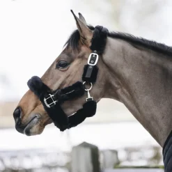 KENTUCKY HORSEWEAR Licol cheval doublé mouton synthétique - Kentucky< Protections De Transport|Licols