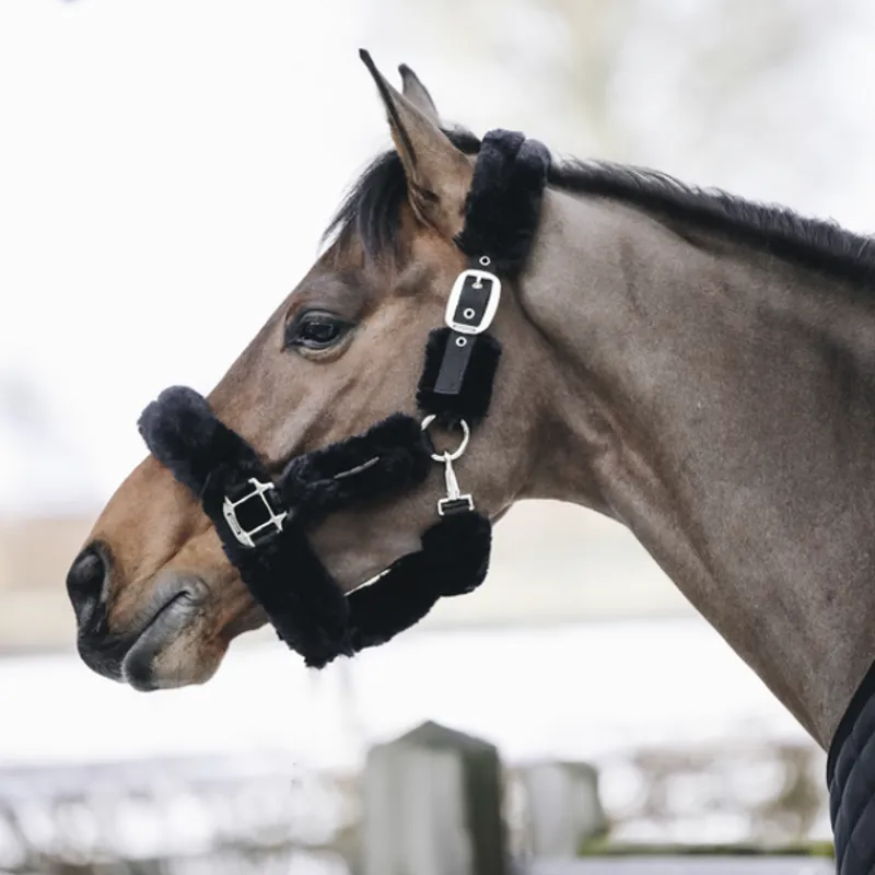 KENTUCKY HORSEWEAR Licol cheval doublé mouton synthétique - Kentucky< Protections De Transport|Licols