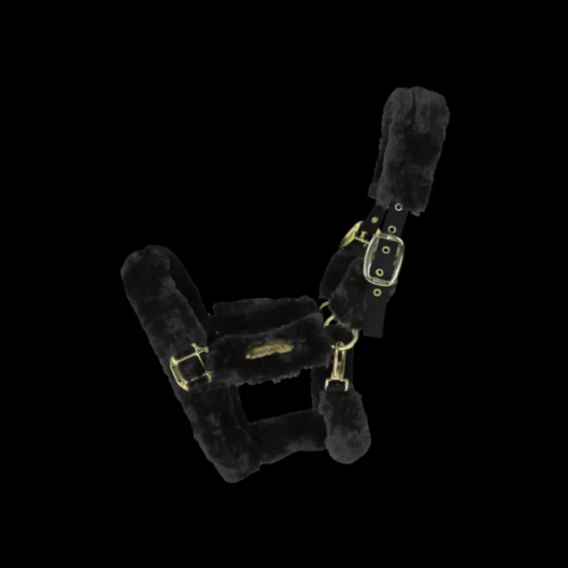 KENTUCKY HORSEWEAR Licol cheval doublé mouton synthétique - Kentucky< Protections De Transport|Licols