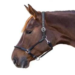 WALDHAUSEN Licol cheval en cuir corde Nevada -< Licols