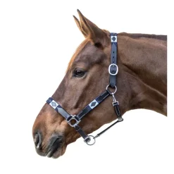 WALDHAUSEN Licol cheval en cuir Polo -< Licols