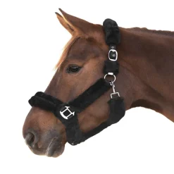 WALDHAUSEN Licol cheval en mouton synthétique complet Cosy -< Licols