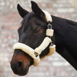 WALDHAUSEN Licol cheval en mouton synthétique complet Cosy -< Licols