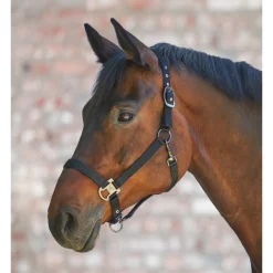 WALDHAUSEN Licol cheval Gloomy double soft -< Licols
