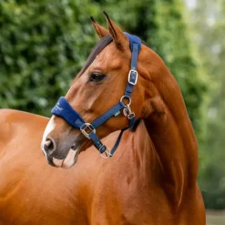 HORSEWARE Licol cheval Grooming Signature -< Licols