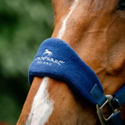 HORSEWARE Licol cheval Grooming Signature -< Licols