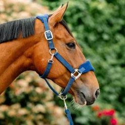 HORSEWARE Licol cheval Grooming Signature -< Licols