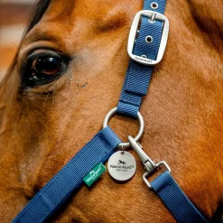 HORSEWARE Licol cheval Grooming Signature -< Licols